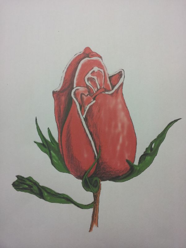 roos